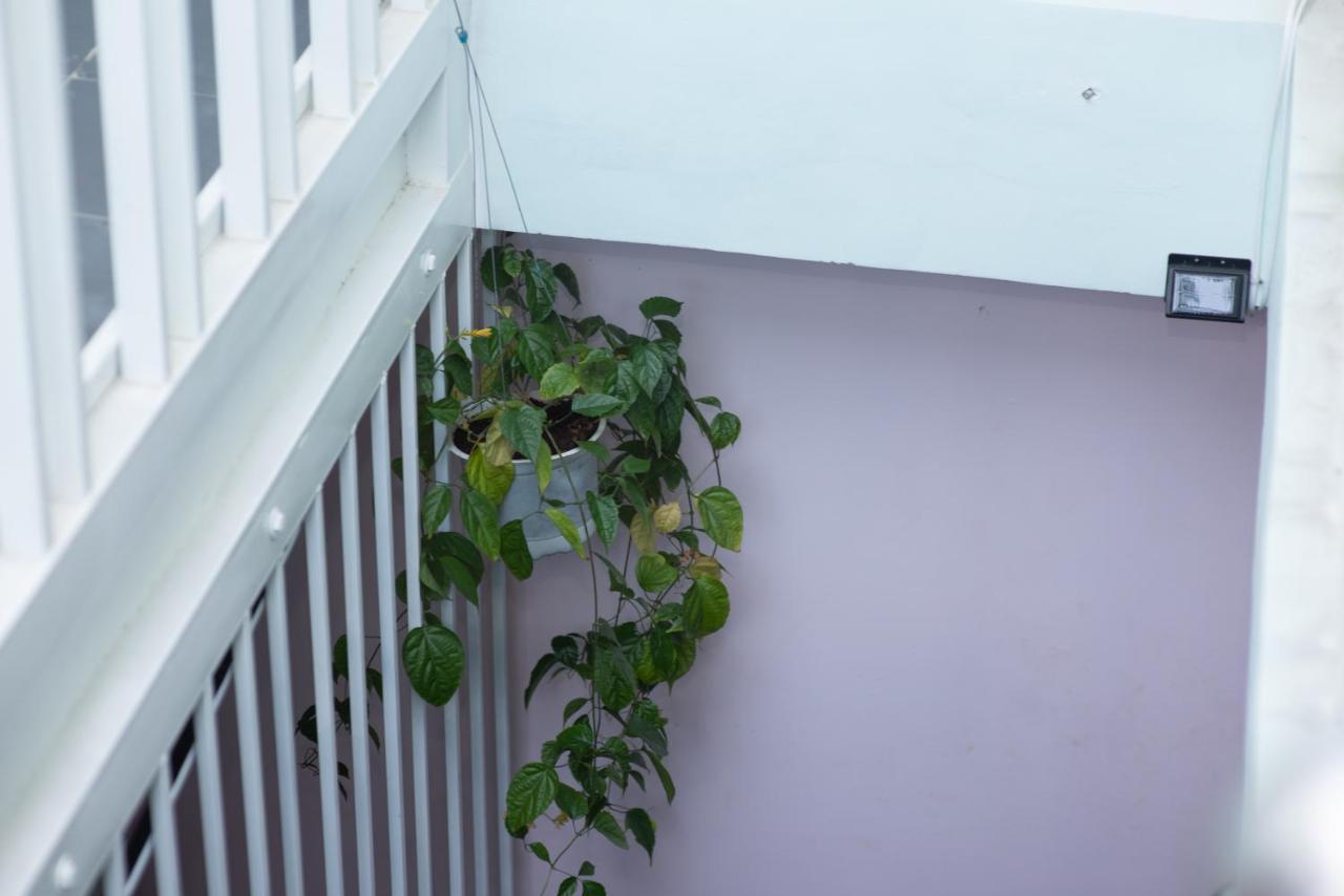 Megi Homestay Nha Trang Exteriör bild